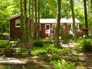 Arrowhead Lakes vacation rentals