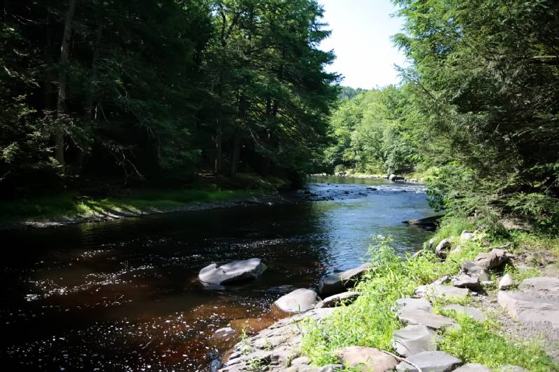 Poconos Rentals Bushkill Pristine Waterfront Log Cabin with Private